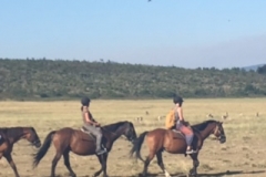 horse-ride on Sarfai